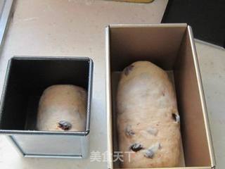 酒香果干吐司的做法步骤：9