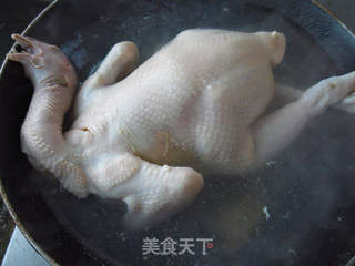 吉星高照----葱椒鸡的做法步骤：2