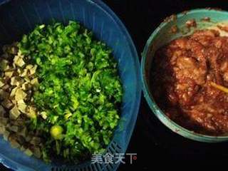 煮饺子不破皮的窍门--芹菜香干猪肉饺的做法步骤:15