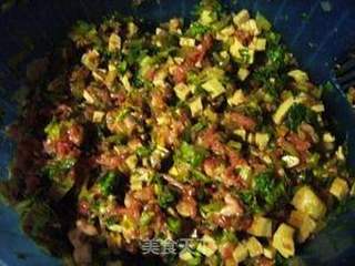 煮饺子不破皮的窍门--芹菜香干猪肉饺的做法步骤:16