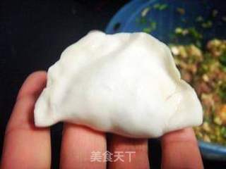 煮饺子不破皮的窍门--芹菜香干猪肉饺的做法步骤:18