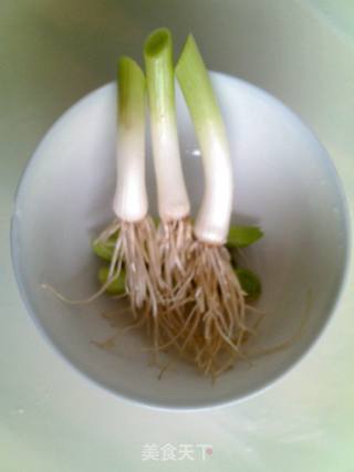 满屋飘香-胡萝卜羊肉汤的做法步骤:7