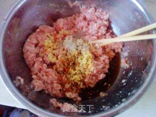 羊肉胡萝卜水饺的做法步骤：9