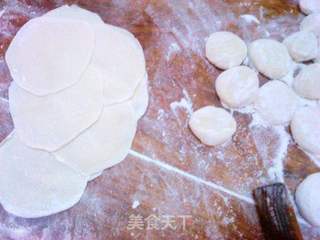 羊肉胡萝卜水饺的做法步骤：13
