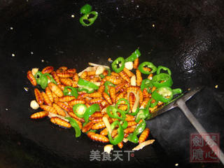 非常美食--韭菜炒蚕蛹的做法步骤:5