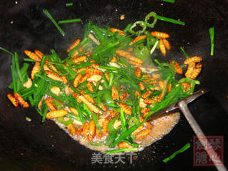 非常美食--韭菜炒蚕蛹的做法步骤:7