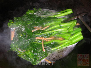 盐水菜心的做法步骤:5