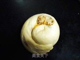 可可花生酱面包(汤种)的做法步骤:11
