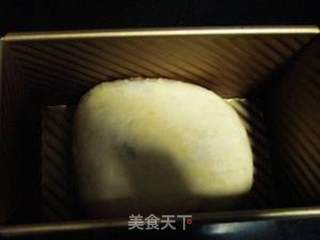 可可花生酱面包(汤种)的做法步骤:12