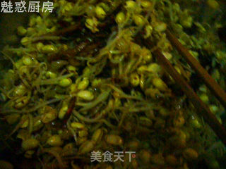 麻辣黄豆芽的做法步骤：4