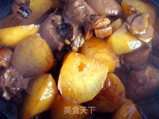 白萝卜炖羊肉的做法步骤:10