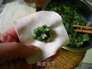 荠菜鲜肉馄饨的做法步骤:4
