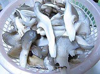 豆豉姬菇的做法步骤：1