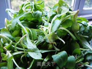 香干马兰头的做法步骤:3