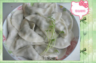 荠菜肉馅饺子的做法步骤:9
