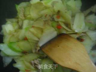 菜肉炒肉片的做法步骤：5