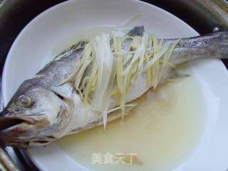 清蒸鲈鱼的做法步骤:6