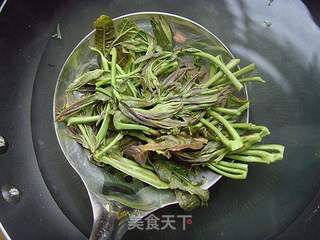 春季尝鲜之美品----香椿鱼儿的做法步骤:3
