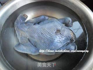 田园乌鸡汤的做法步骤:2