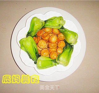 金钱挂玉树的做法步骤:8