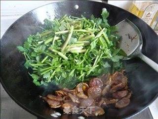 野芹菜炒香肠的做法步骤：4
