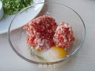 冰花煎饺的做法步骤:3