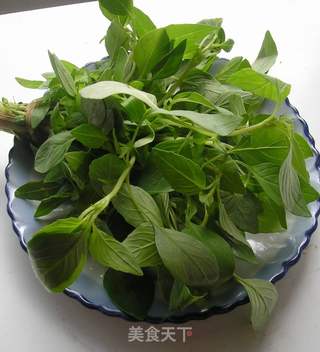 荆芥捞面的做法步骤：5