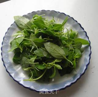 荆芥捞面的做法步骤：6