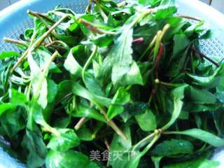 凉拌马兰——享受春天的美味的做法步骤：1