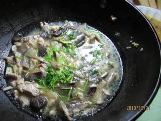 肉焖平菇的做法步骤：7