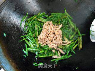 野生水芹炒肉丝的做法步骤:7