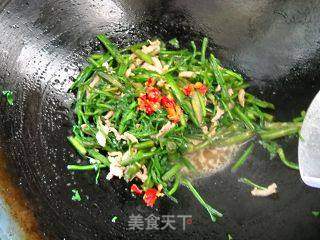 野生水芹炒肉丝的做法步骤:8