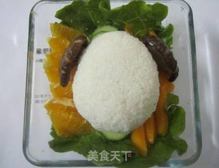狗狗便当的做法步骤:12