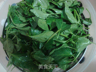 辣椒叶肉片汤的做法步骤:2