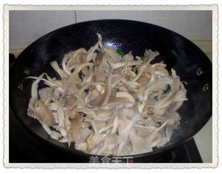 平菇炒粉丝的做法步骤:4