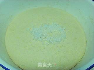 纯碱茴香花卷的做法步骤:4