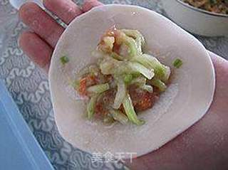 西瓜皮鲜肉饺子的做法步骤:6