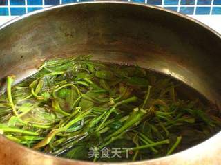 【飞禽走兽】----香椿芽炒鸡心的做法步骤:3