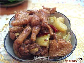[飞禽走兽]--传统东北菜[鸡肉炖土豆]的做法步骤：9