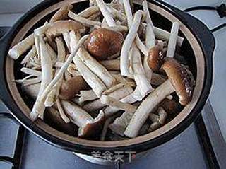 【飞禽走兽】----茶树菇牛骨煲的做法步骤:9