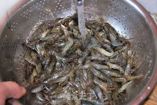 制作最简单的盐水河虾的做法步骤:2