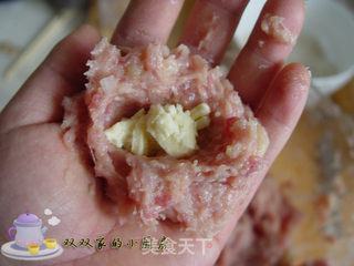 【飞禽走兽】——芝心肉丸的做法步骤:6
