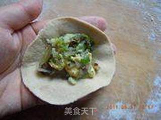 全麦面蒸饺的做法步骤:15