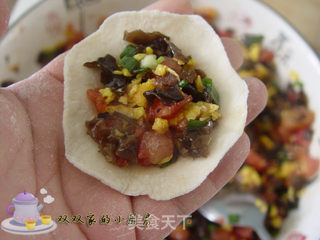 西红柿鸡蛋饺的做法步骤:15