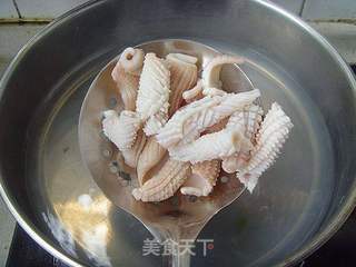 【鲁菜】:芫爆鱿鱼卷的做法步骤:4
