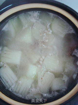 【粤菜】冬瓜薏米煲水鸭的做法步骤:6