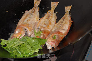 【粤菜】半煎煮红目鲢的做法步骤:4