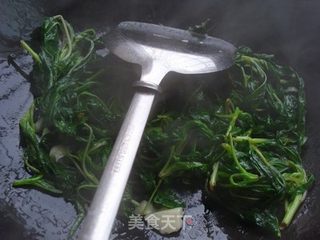 【粤菜】潮菜系列之酱香麻叶的做法步骤：5