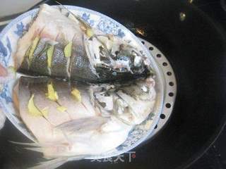 清蒸白鱼头的做法步骤:5