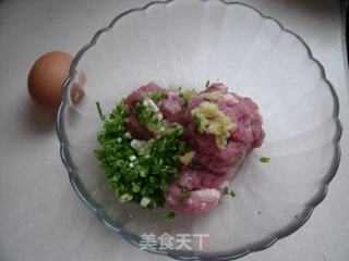 【苏菜】重温儿时的美味—红烧狮子头的做法步骤：1